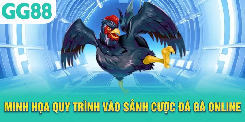 Minh họa quy trình vào sảnh cược đá gà online