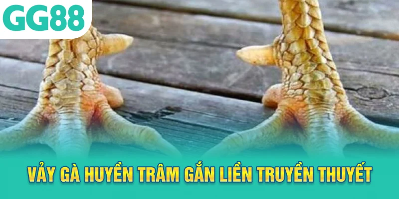 Vảy gà huyền trâm gắn liền truyền thuyết linh kê